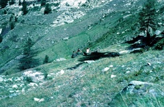 096  07-79 Alpe di Viou Gruppo Comando (67) 