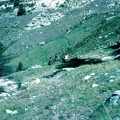 096  07-79 Alpe di Viou Gruppo Comando (67) 
