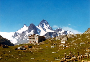 Salita al Rutor (28/07/1979)
