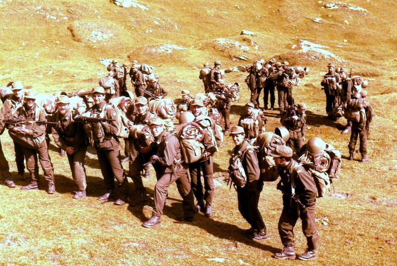img212_.jpg