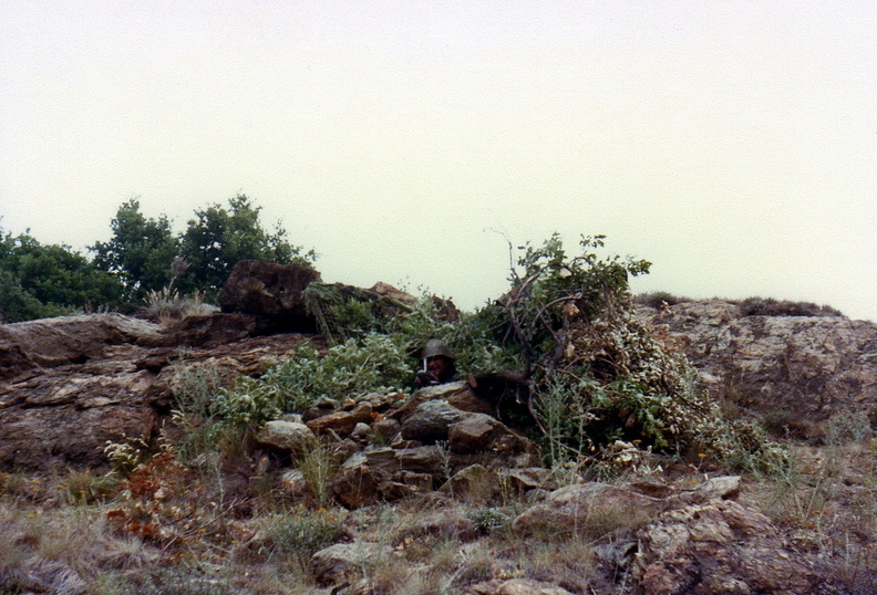 Attività-95-AUC_06_.jpg