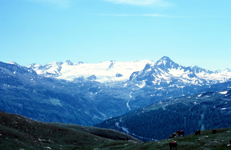 054__07-79 Orgère (verso il Ruitor) (29)_.jpg