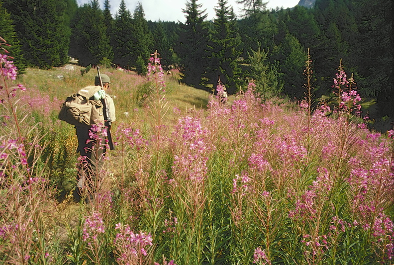 1979-08-09_01_Alpe-di-Viou.jpg