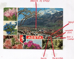 Documenti del 95° Corso AUC