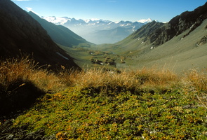 Vallone d'Orgere