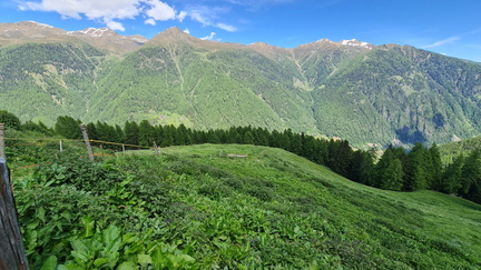 Festa dei nonni del 95° a Malga Polinar, in Val di Rabbi (TN)